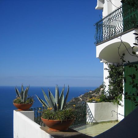 Le Cicale - Apartments Conca dei Marini Exteriér fotografie