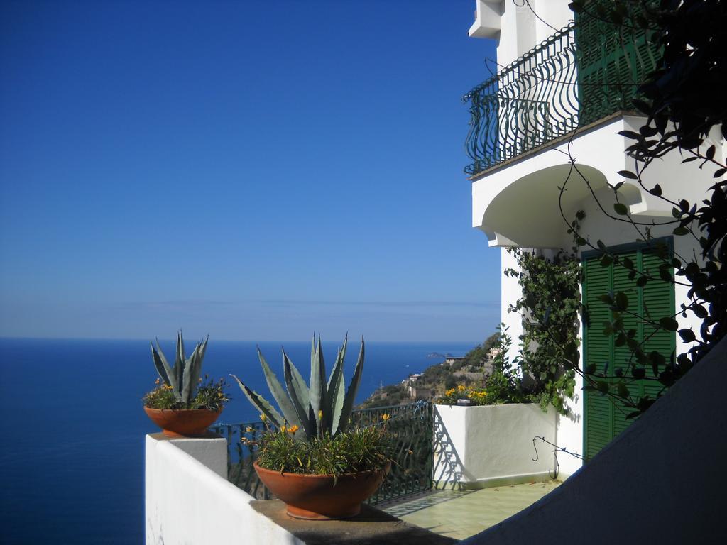 Le Cicale - Apartments Conca dei Marini Exteriér fotografie